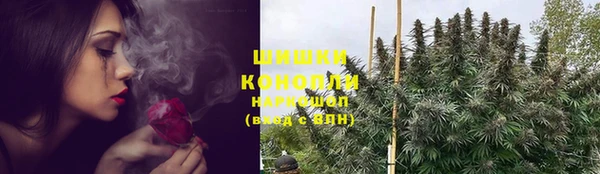 ПСИЛОЦИБИНОВЫЕ ГРИБЫ Арсеньев