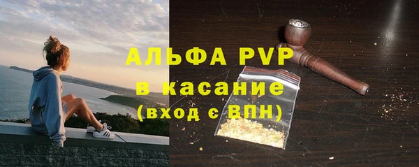 ПСИЛОЦИБИНОВЫЕ ГРИБЫ Арсеньев