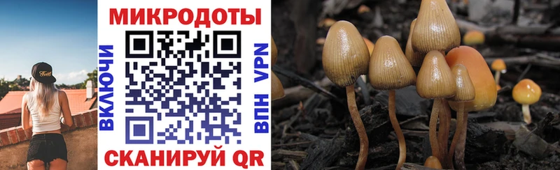 Галлюциногенные грибы мухоморы Бутурлиновка